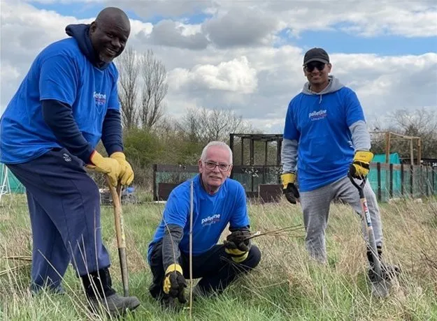 Three volunteers in blue Palletline shirts and gloves planting saplings in a grassy field as part of a community or environmental project.